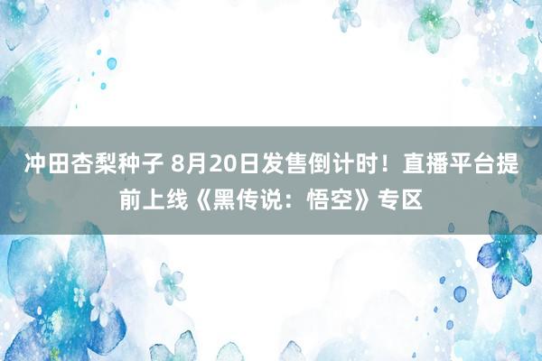 冲田杏梨种子 8月20日发售倒计时！直播平台提前上线《黑传说：悟空》专区