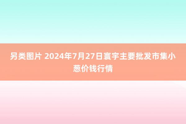 另类图片 2024年7月27日寰宇主要批发市集小葱价钱行情