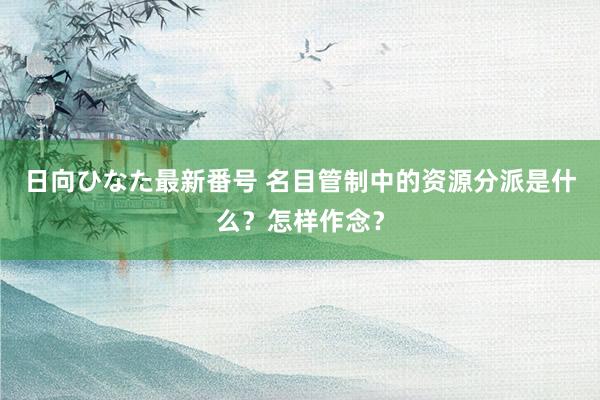 日向ひなた最新番号 名目管制中的资源分派是什么？怎样作念？