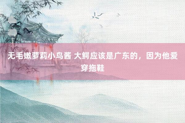 无毛嫩萝莉小鸟酱 大鳄应该是广东的，因为他爱穿拖鞋