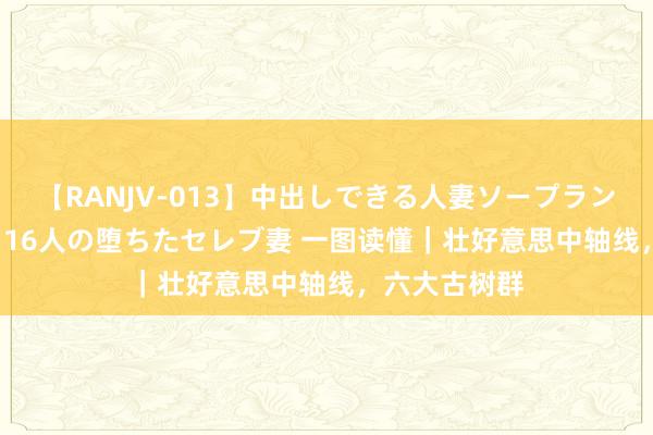 【RANJV-013】中出しできる人妻ソープランドDX 8時間 16人の堕ちたセレブ妻 一图读懂｜壮好意思中轴线，六大古树群