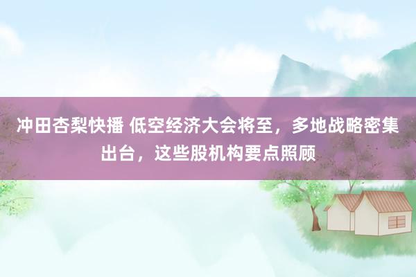 冲田杏梨快播 低空经济大会将至，多地战略密集出台，这些股机构要点照顾