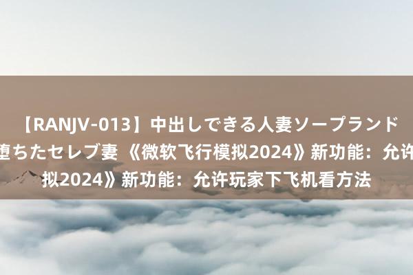 【RANJV-013】中出しできる人妻ソープランドDX 8時間 16人の堕ちたセレブ妻 《微软飞行模拟2024》新功能：允许玩家下飞机看方法