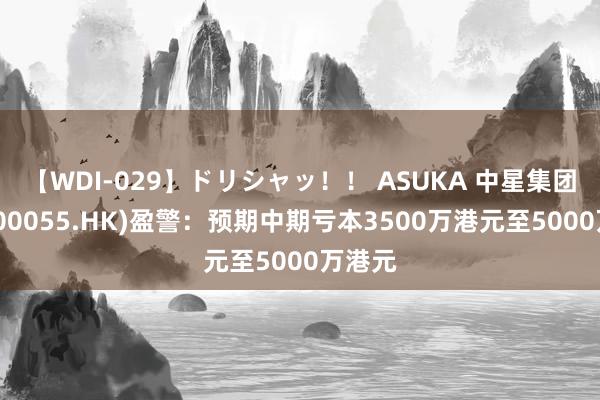 【WDI-029】ドリシャッ！！ ASUKA 中星集团控股(00055.HK)盈警：预期中期亏本3500万港元至5000万港元