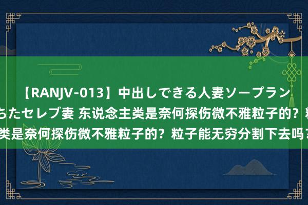 【RANJV-013】中出しできる人妻ソープランドDX 8時間 16人の堕ちたセレブ妻 东说念主类是奈何探伤微不雅粒子的？粒子能无穷分割下去吗？