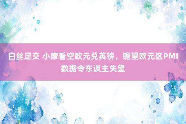 白丝足交 小摩看空欧元兑英镑，瞻望欧元区PMI数据令东谈主失望