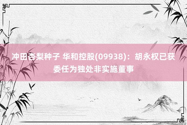 冲田杏梨种子 华和控股(09938)：胡永权已获委任为独处非实施董事