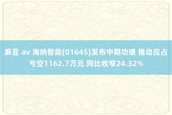 麻豆 av 海纳智能(01645)发布中期功绩 推动应占亏空1162.7万元 同比收窄24.32%