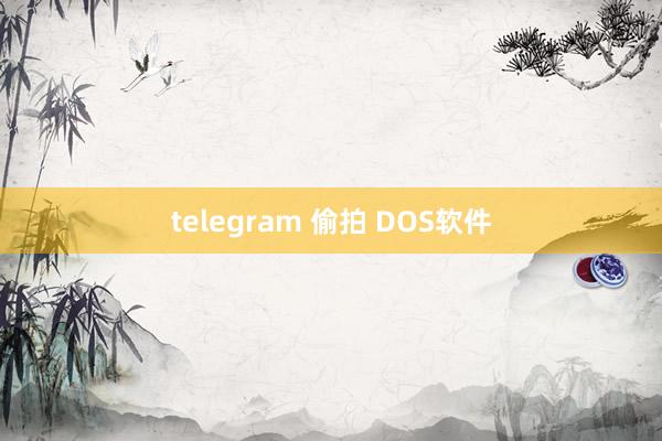 telegram 偷拍 DOS软件